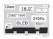 Матрица ATNA60DL03-0 (экран) для ноутбука 16.0" (OLED / 240Hz / 2560x1600 / глянцевая / 40pin (25mm) / Slim 1.5mm / 400nit / 1000000:1 / 100% DCI-P3 / 85&deg;.85&deg;.85&deg;.85&deg;) Оригинал
