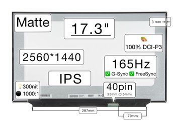 Матрица NE173QHM-NY6 (экран) для ноутбука 17.3" (IPS / 165Hz FreeSync+G-Sync / 2560&times;1440 QHD / матовая / 40pin (0.5mm) / 300nit / 1000:1 / 100% DCI-P3 / 85&deg;.85&deg;.85&deg;.85&deg;) Оригинал
